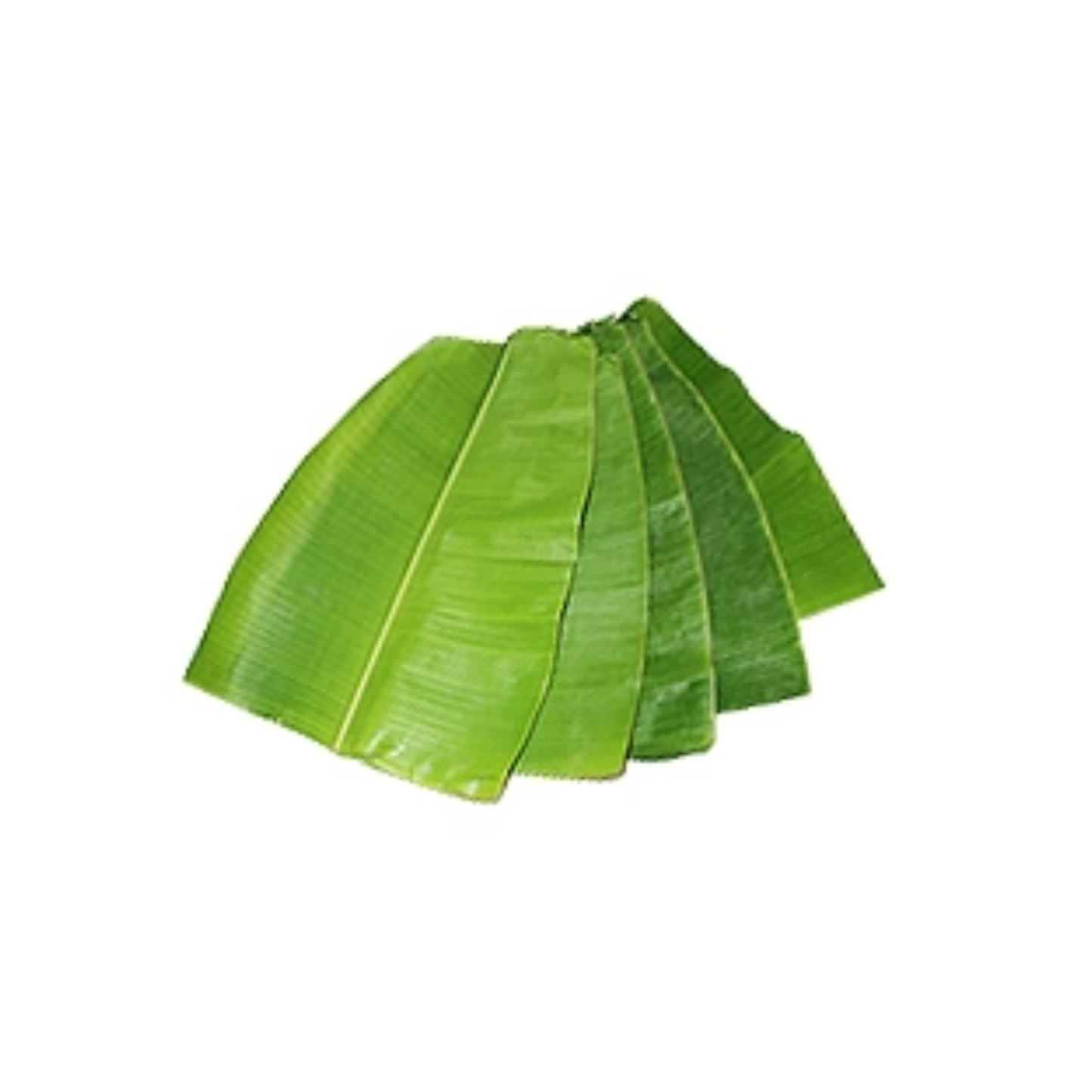 Banana Leaves (per peice)