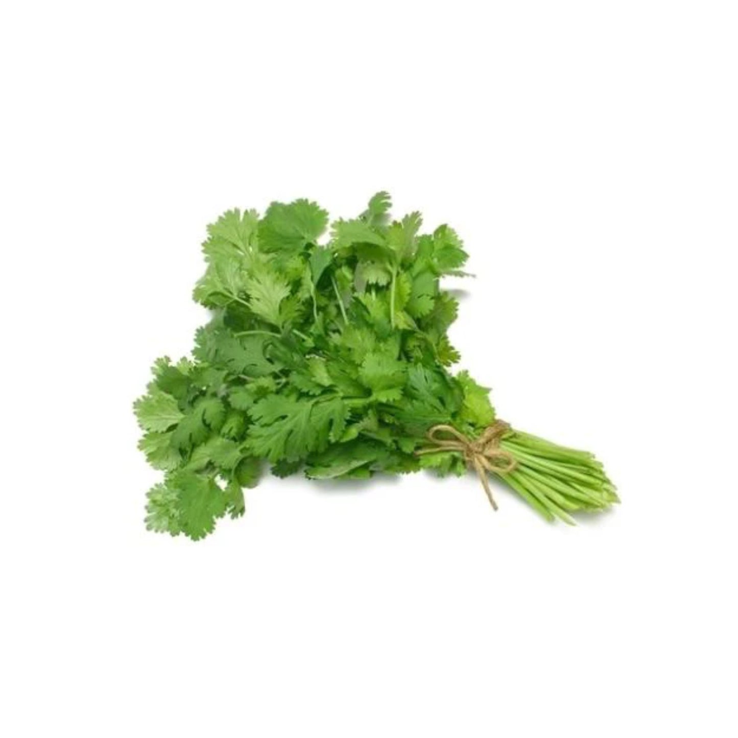 Coriander (1 bunch)