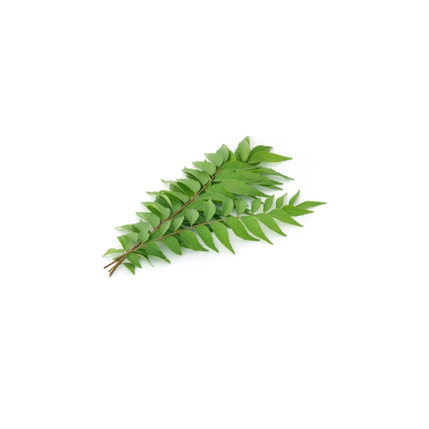 ⁠Curry Leaves 250gm