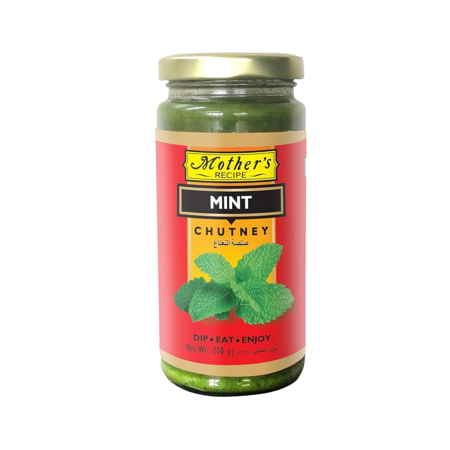 Mothers recipe Mint chutney