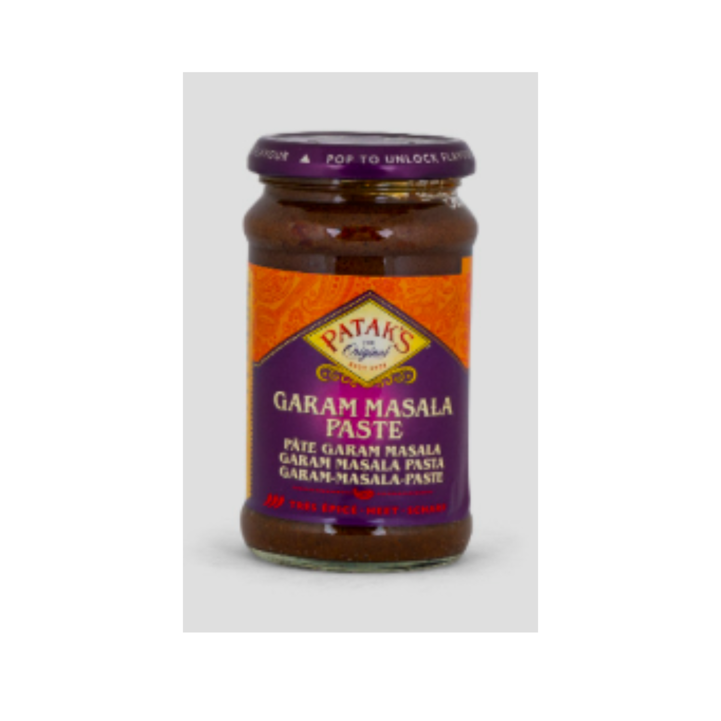 Patak Garam Masala Paste 283g